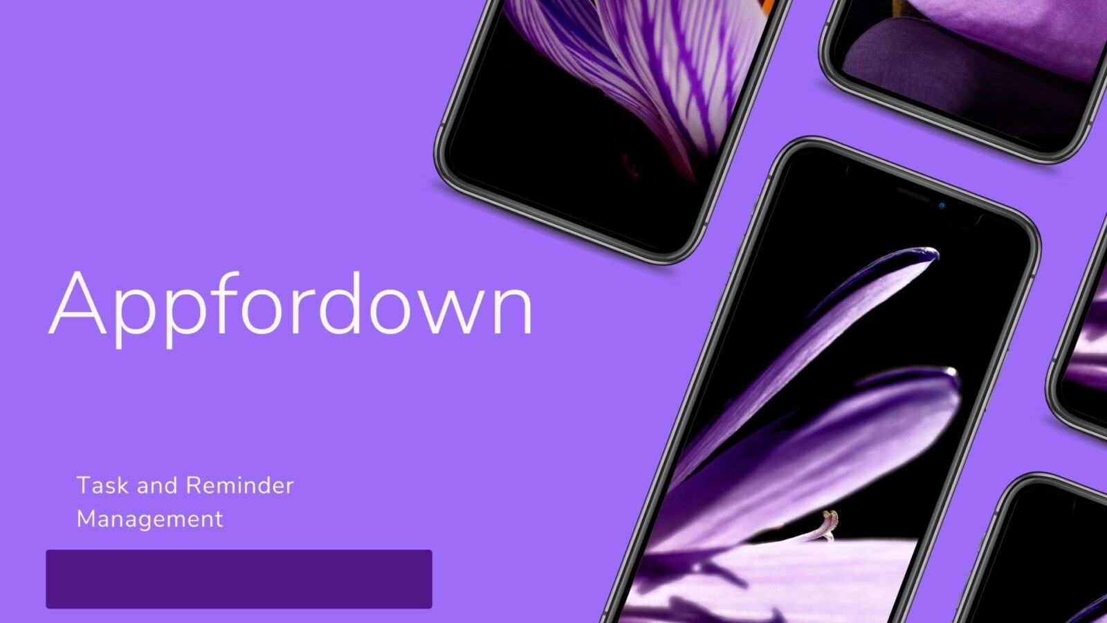 Appfordown